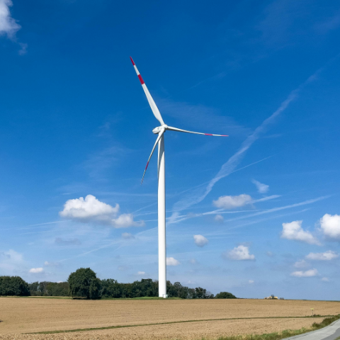 Wind& Electric energy Wind& Electric energy